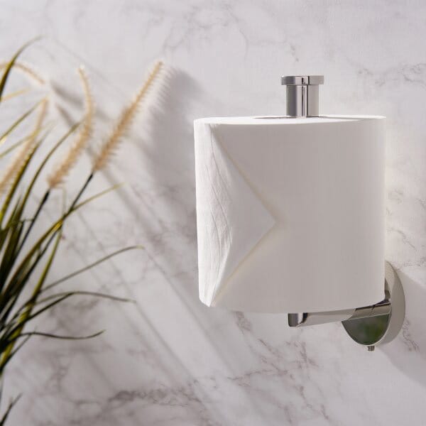 silver toilet roll holder