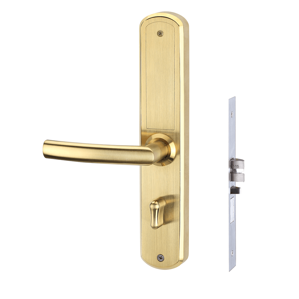 Rear view of the HLS200 Smart Slim Lock in Gold with inside lever, thumb turn and mortise